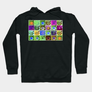 Cosmos Flower Collage Hoodie